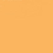 Faber Castell Pitt Artist Brush Tip Pen Orange Glaze