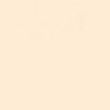 Faber Castell Pitt Artist Brush Tip Pen Apricot