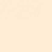 FABER CASTELL PITT ARTIST BRUSH TIP PEN APRICOT