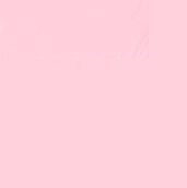 Faber Castell Pitt Artist Brush Tip Pen Beige Red