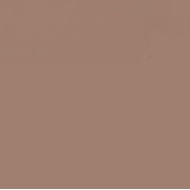 FABER CASTELL PITT ARTIST BRUSH TIP PEN CAPUT MORTUUM