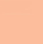 Faber Castell Pitt Artist Brush Tip Pen Cinnamon