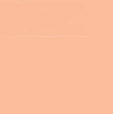 Faber Castell Pitt Artist Brush Tip Pen Cinnamon