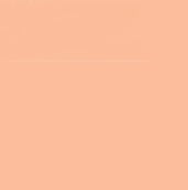 Faber Castell Pitt Artist Brush Tip Pen Cinnamon