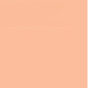 FABER CASTELL PITT ARTIST BRUSH TIP PEN CINNAMON