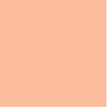 FABER CASTELL PITT ARTIST BRUSH TIP PEN CINNAMON