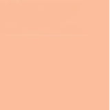 FABER CASTELL PITT ARTIST BRUSH TIP PEN CINNAMON