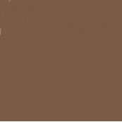 FABER CASTELL PITT ARTIST BRUSH TIP PEN NOUGAT