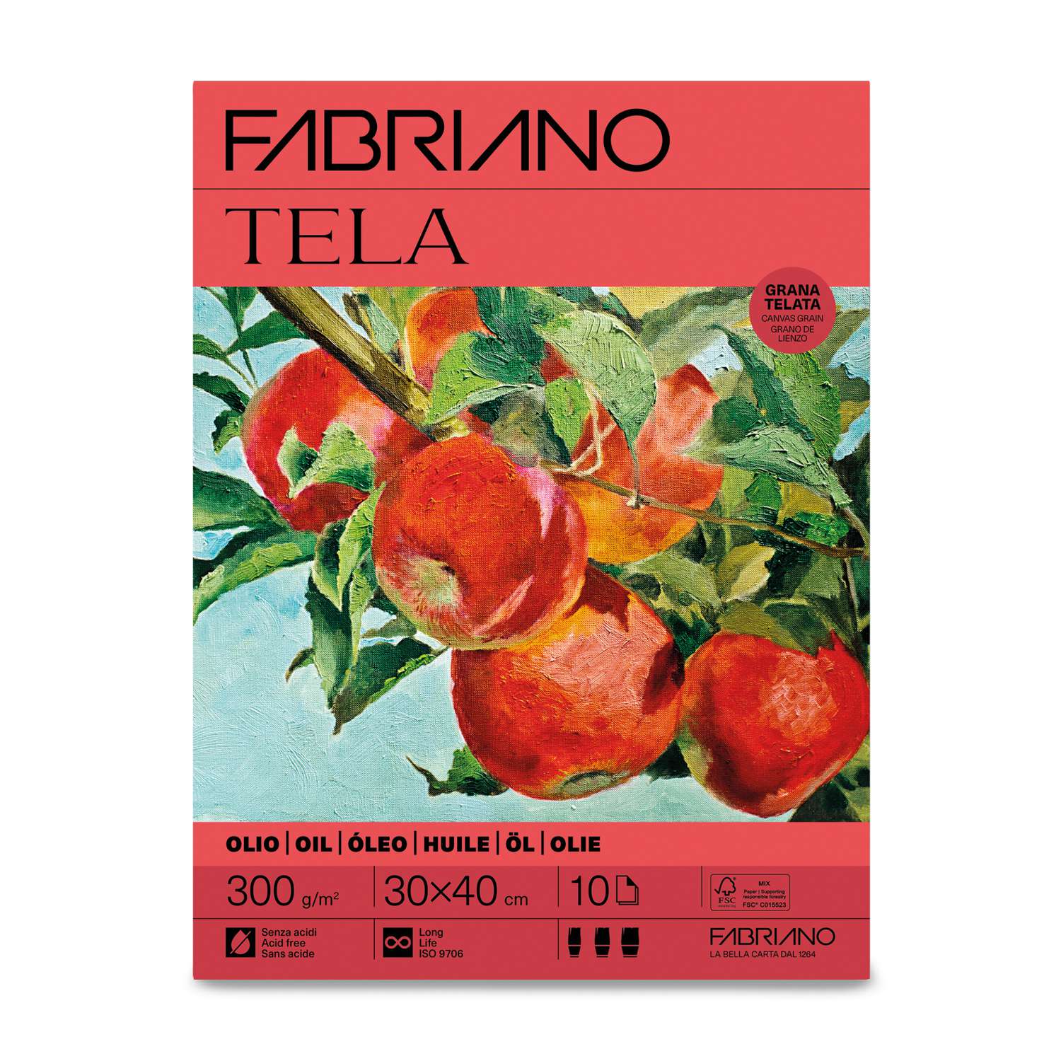 FABRIANO TELA OIL PAPER PAD 300GSM 10 SHEETS