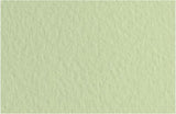 Fabriano Tiziano Pastel Paper 160gsm Fern (Verduzzo)  Sheet