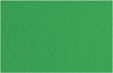 Fabriano Tiziano Pastel Paper 160gsm Meadow Green (Prato) Sheet