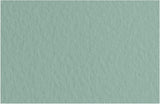 Fabriano Tiziano Pastel Paper 160gsm Sage Green (Salvia) Sheet