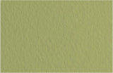 Fabriano Tiziano Pastel Paper 160gsm Moss (Mushcio) Sheet