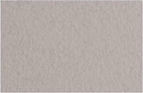 Fabriano Tiziano Pastel Paper 160gsm Ash Grey (China) Sheet