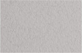 Fabriano Tiziano Pastel Paper 160gsm Smoke (Nebbia) Sheet