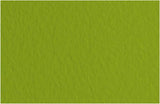 Fabriano Tiziano Pastel Paper 160gsm Pistachio Sheet