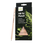 Icon Natural Hexaganol Pencil Triangular Box 12 HB