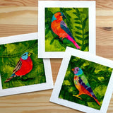 GELLI ARTS PRINTED COLLAGE KIT COLORS IN FLIGHT
