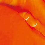 AUREUO STUDIO ACRYLIC PAINT ORANGE 304