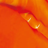 AUREUO STUDIO ACRYLIC PAINT ORANGE 304