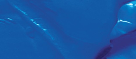 Aureuo Studio Acrylic Paint Cobalt Blue Hue 423 75ml