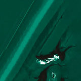 AUREUO STUDIO ACRYLIC PAINT VIRIDIAN HUE 560
