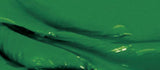 Aureuo Studio Acrylic Paint Sap Green 568 75ml
