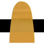 Golden Heavy Body Acrylic Paint Iridescent Gold (Coarse)