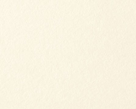 Hahnenuhle Acid-Free Sketching Board 300gsm Sheet