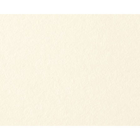 HAHNEMUHLE ACID-FREE SKETCHING BOARD 300GSM SHEET