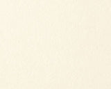 Hahnenuhle Acid-Free Sketching Board 300gsm Sheet 86x122cm