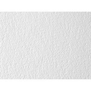HAHNEMUHLE LEONARDO WATERCOLOUR PAPER 600GSM ROUGH SHEET