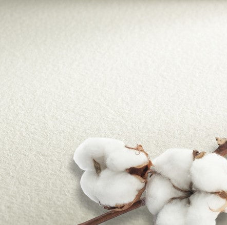 Hahnenuhle Professional Watercolour Paper 300gsm Cold Pressed Sheet 56x76cm