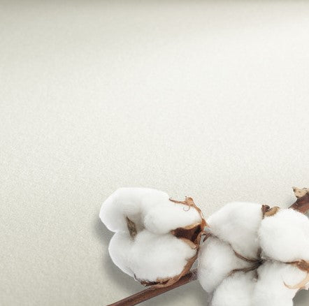 Hahnenuhle Professional Watercolour Paper 300gsm Rough Sheet 56x76cm