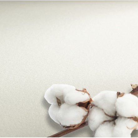 HAHNEMUHLE PROFESSIONAL WATERCOLOUR PAPER 300GSM ROUGH SHEET