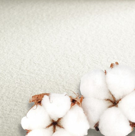 Hahnenuhle Professional Watercolour Paper 640gsm Cold Pressed Sheet 56x76cm