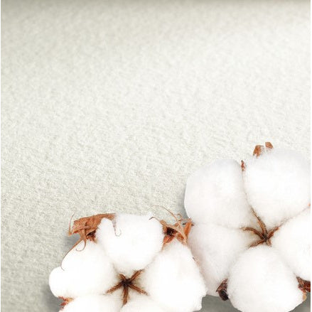 HAHNEMUHLE PROFESSIONAL WATERCOLOUR PAPER 640GSM COLD PRESSED SHEET