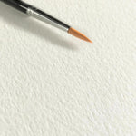 Hahnenuhle Sugar Cane Paper 290gsm Sheet 50x65cm