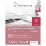 Hahnemuhle Expression Watercolour Block 300gsm Cold Pressed 8x10cm