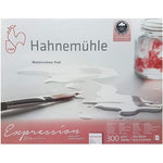 Hahnenuhle Expression Watercolour Block 300gsm Cold Pressed 24x30cm