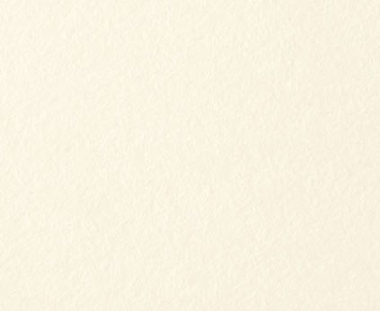 Hahnenuhle Drawing & Sketching Paper 140gsm Sheet