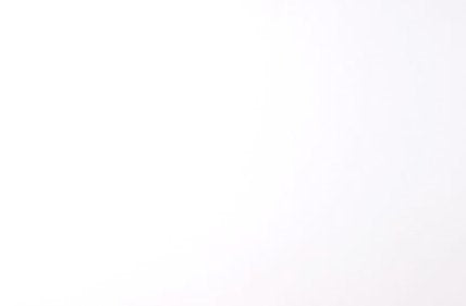 Hahnenuhle Bristol Board 310gsm Sheet