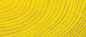 Jacquard Basic Dye Yellow 14.17g