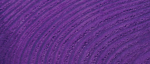 Jacquard Basic Dye Purple 14.17g