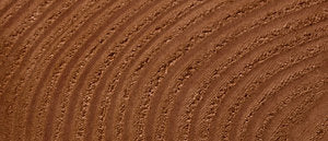 Jacquard Basic Dye Brown 14.17g