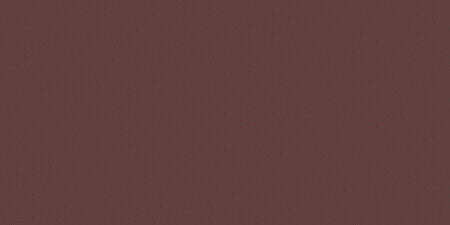 Jacquard Neopaque Paint Brown 66.54ml