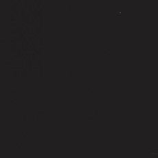 Jacquard Pinata Alcohol Ink Mantilla Black 118ml