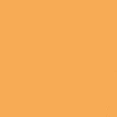 Jacquard Pinata Alcohol Ink Tangerine 14.79ml