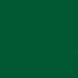 Jacquard Pinata Alcohol Ink Rainforest Green 14.79ml