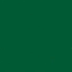 Jacquard Pinata Alcohol Ink Rainforest Green 14.79ml